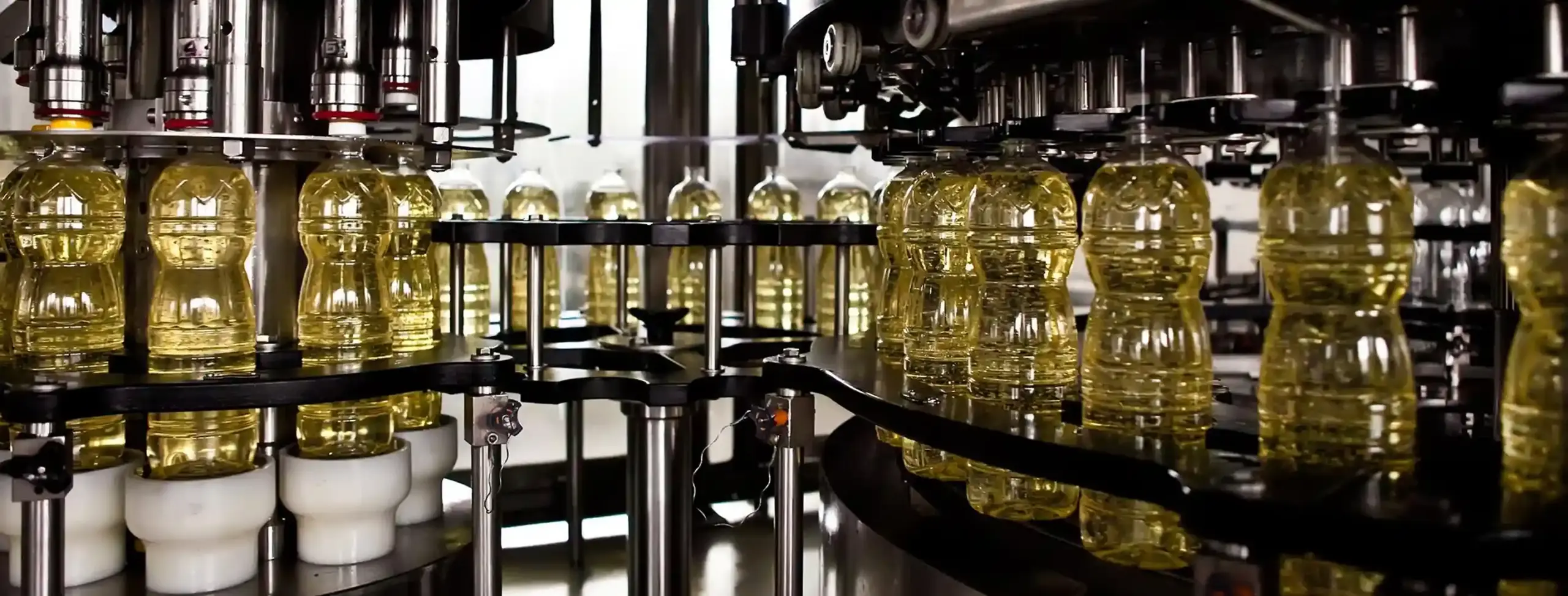 Cold pressed vs refined oil comparison – RAS Chekku Oil extraction process